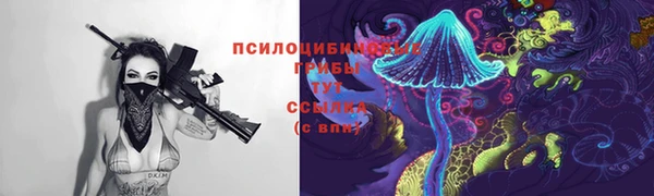 крисы Горняк