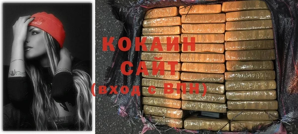 крисы Горняк