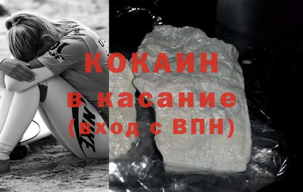 крисы Горняк
