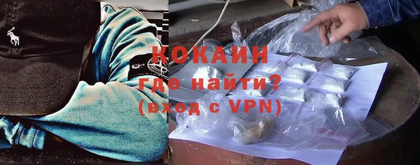 крисы Горняк