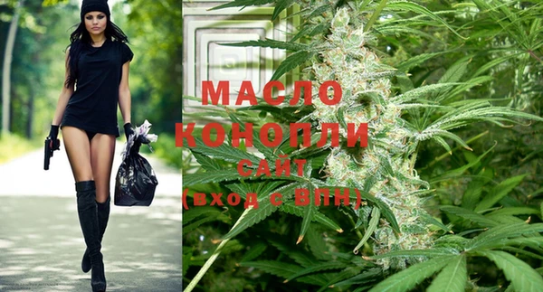 крисы Горняк