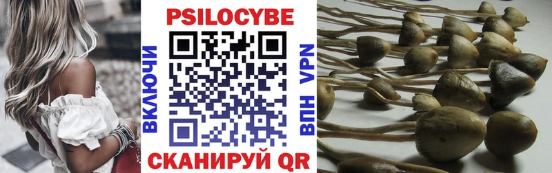 где продают наркотики  Мезень  Галлюциногенные грибы мицелий 